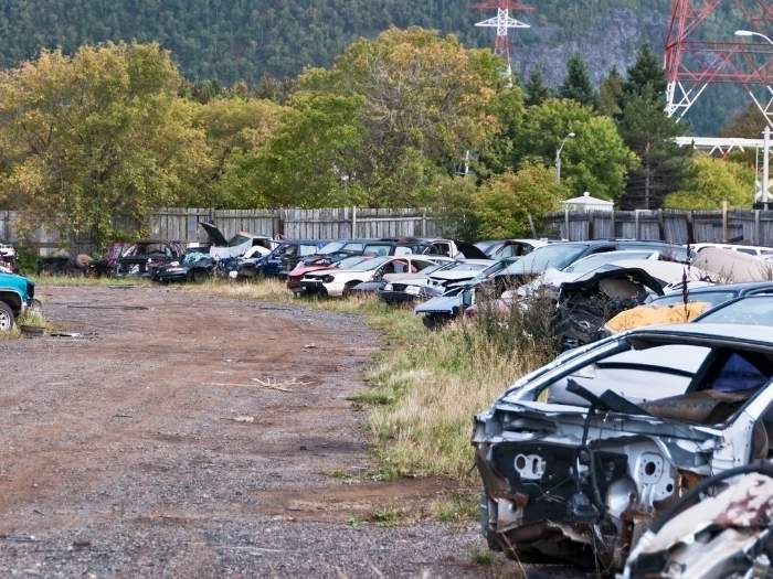 Junk Car Yard